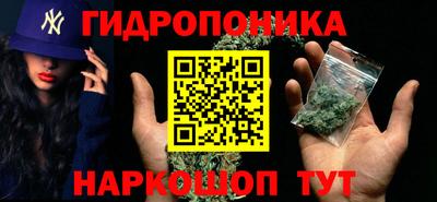 эйфоретик Шахты