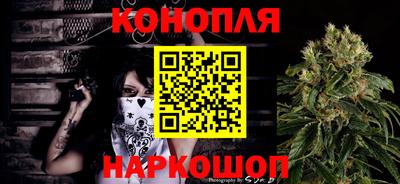 гашик Шебекино