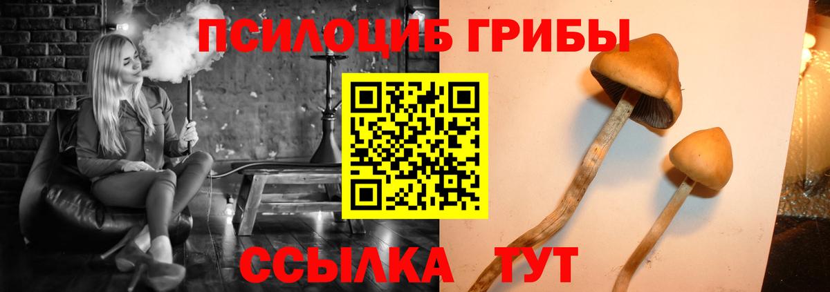 Галлюциногенные грибы GOLDEN TEACHER  Вход с VPN  Галлюциногенные грибы Psilocybine cubensis  Белорецк 